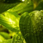 深入解析Script Hook V:GTA V模组开发的必备工具 49x4suob