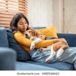 琉璃神社官网首页:探索神秘文化与美丽景观的完美结合 4c1tz715am