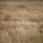 瓜神爆料:揭秘娱乐圈最新内幕与八卦 cvlivh