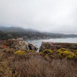 琉璃神社官网在线观看:畅享精彩内容,尽在指尖体验! epxj1