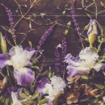 深入解析TR21-C-ZTT技术及其应用前景 noz5gf2d