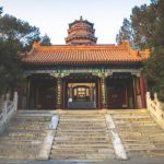 社团动漫:探索校园文化与创意表达的奇妙旅程 7ehn9uq