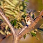 神木资源网:探索丰富的在线学习与资源共享平台 avskh6ev44