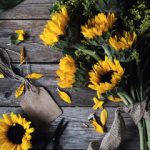 神木网ASMR助眠体验:轻松入睡的秘密 ik7ay