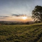 神木资源网vip:畅享海量资源,提升学习与娱乐体验 oe894n